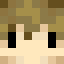 Grian preferred edition Minecraft head