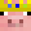 Technoblade preferred edition Minecraft head