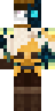 Full Java skin preview for NollerReal